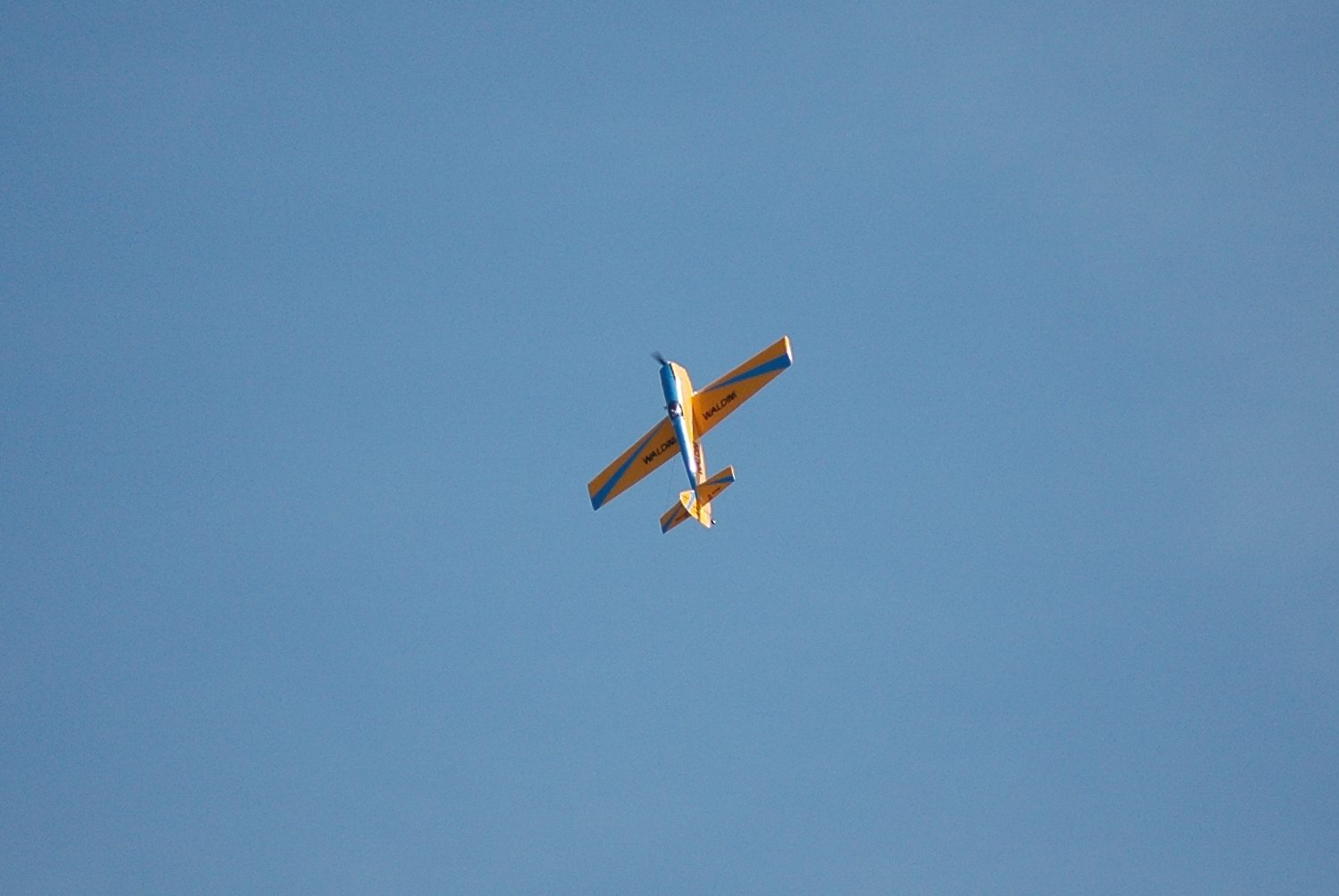 2006/2006-06/Albatros_06-2006_08.jpg