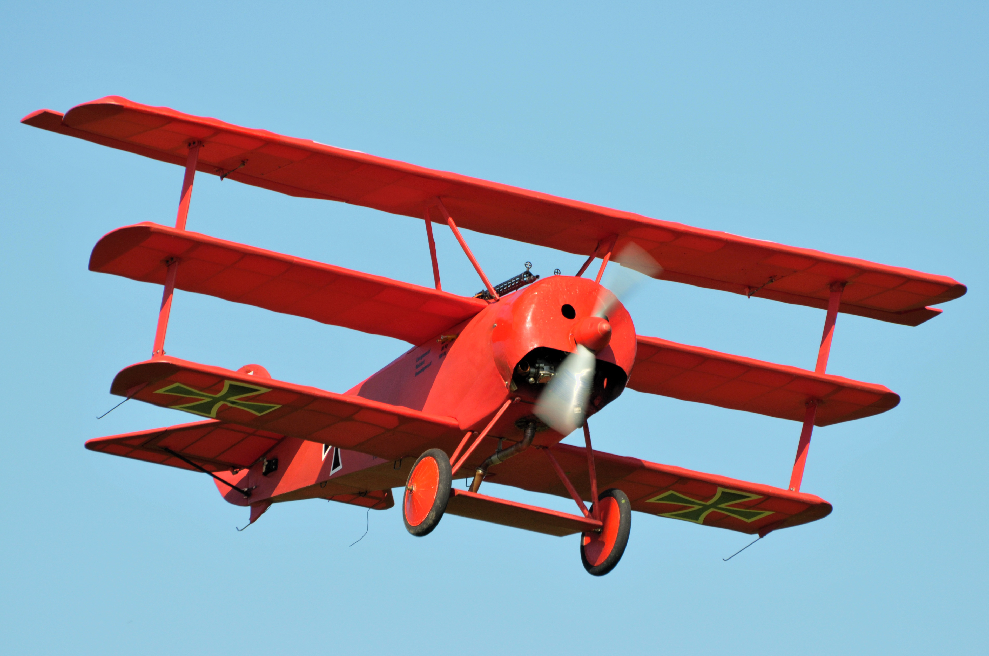 2008/2008-08/2008-08-30_Albatros_026.jpg