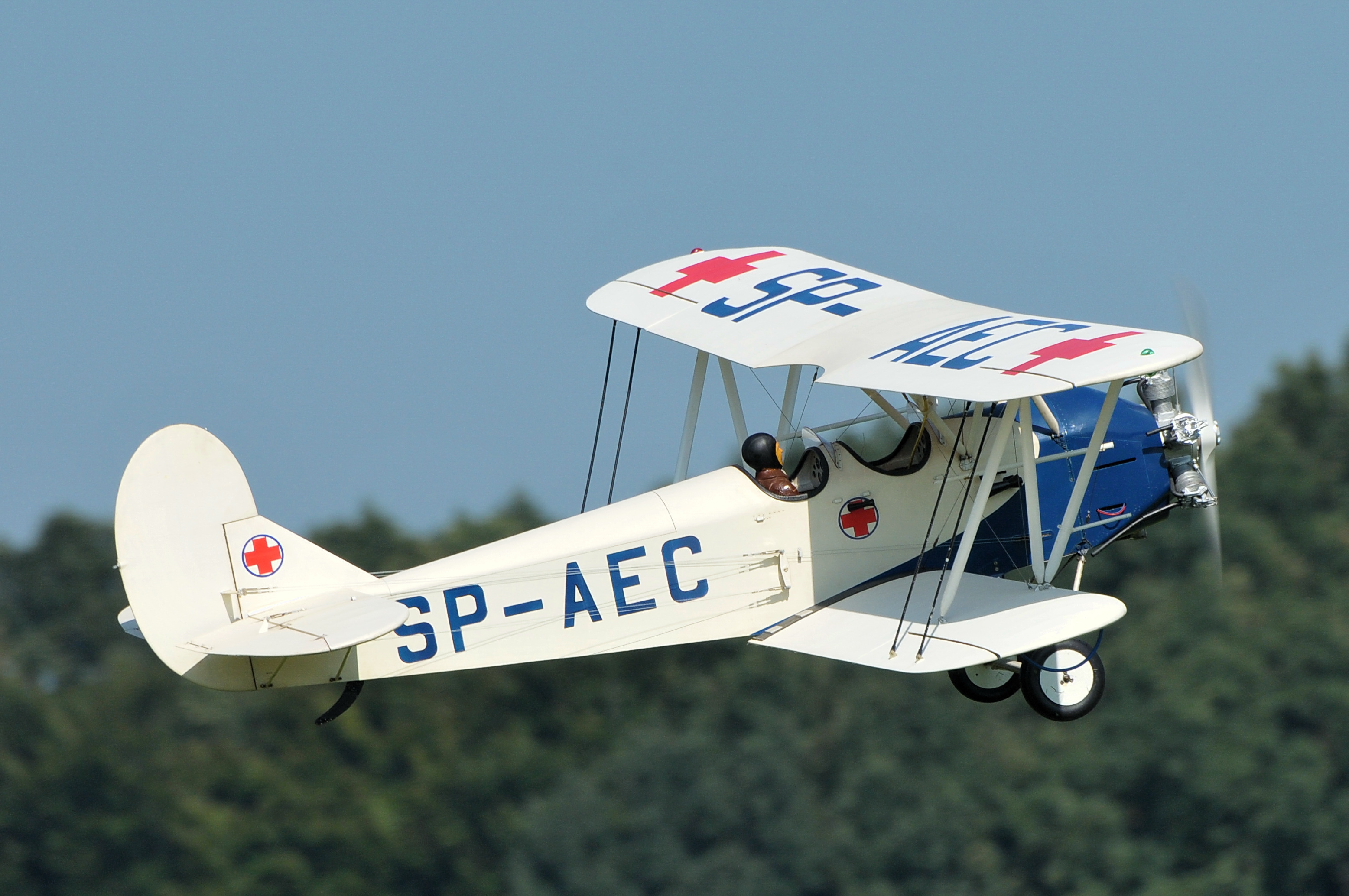 2008/2008-08/2008-08-30_Albatros_034.JPG