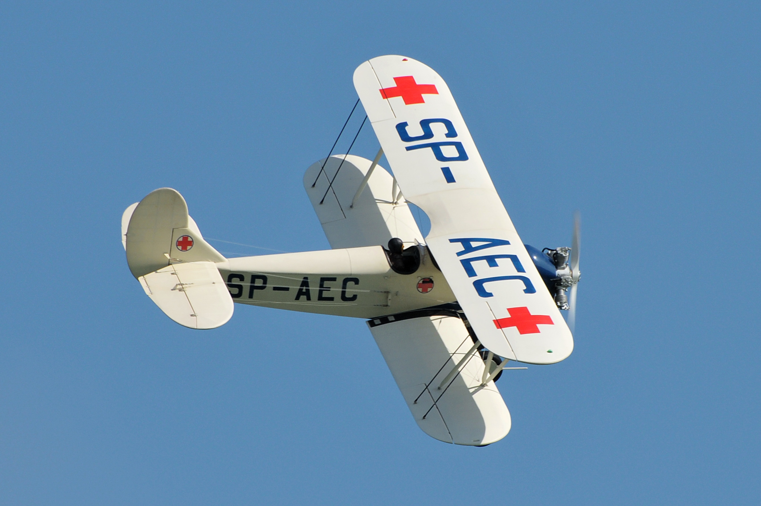 2008/2008-08/2008-08-30_Albatros_039.JPG