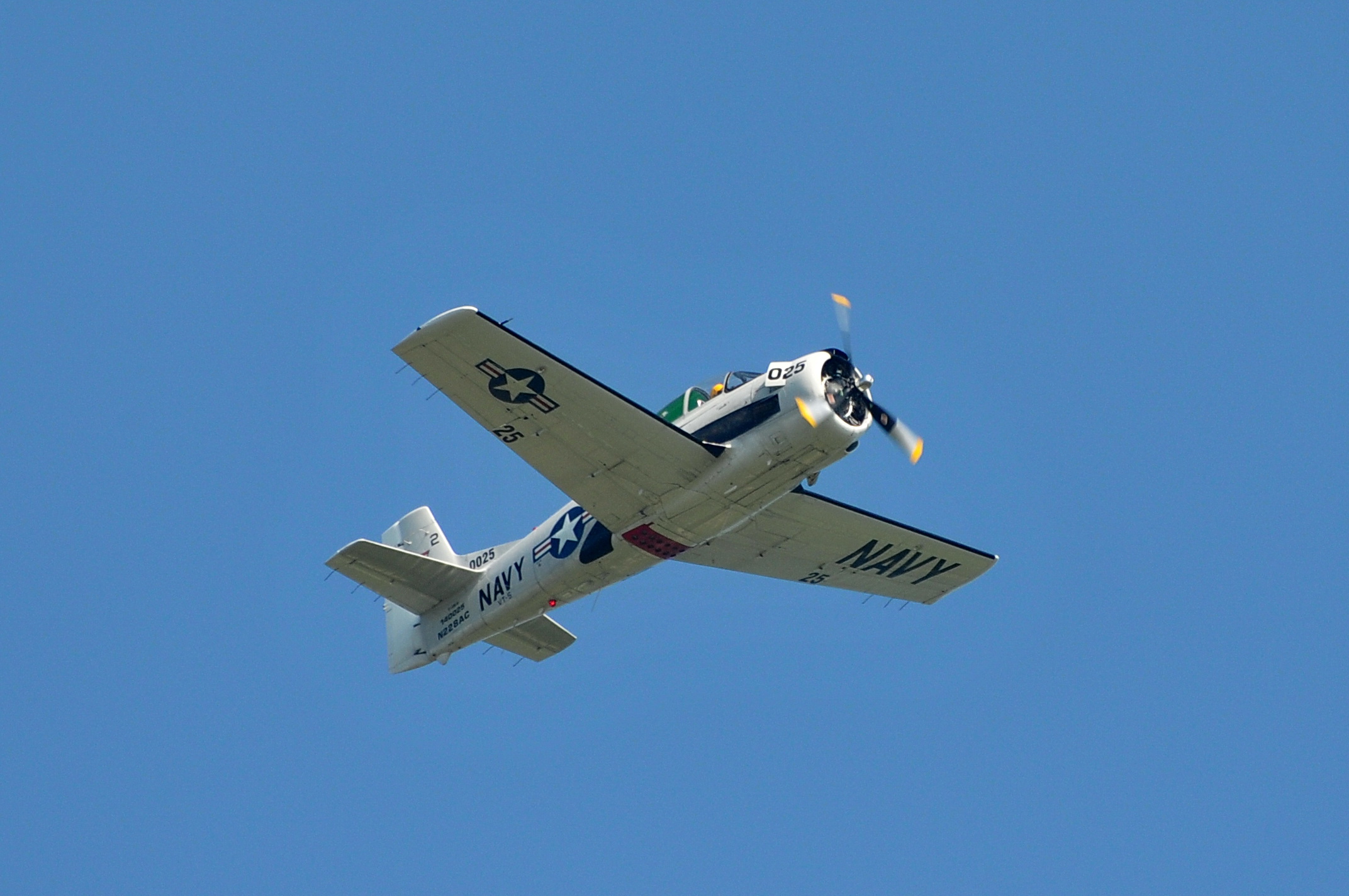 2008/2008-08/2008-08-30_Albatros_051.jpg