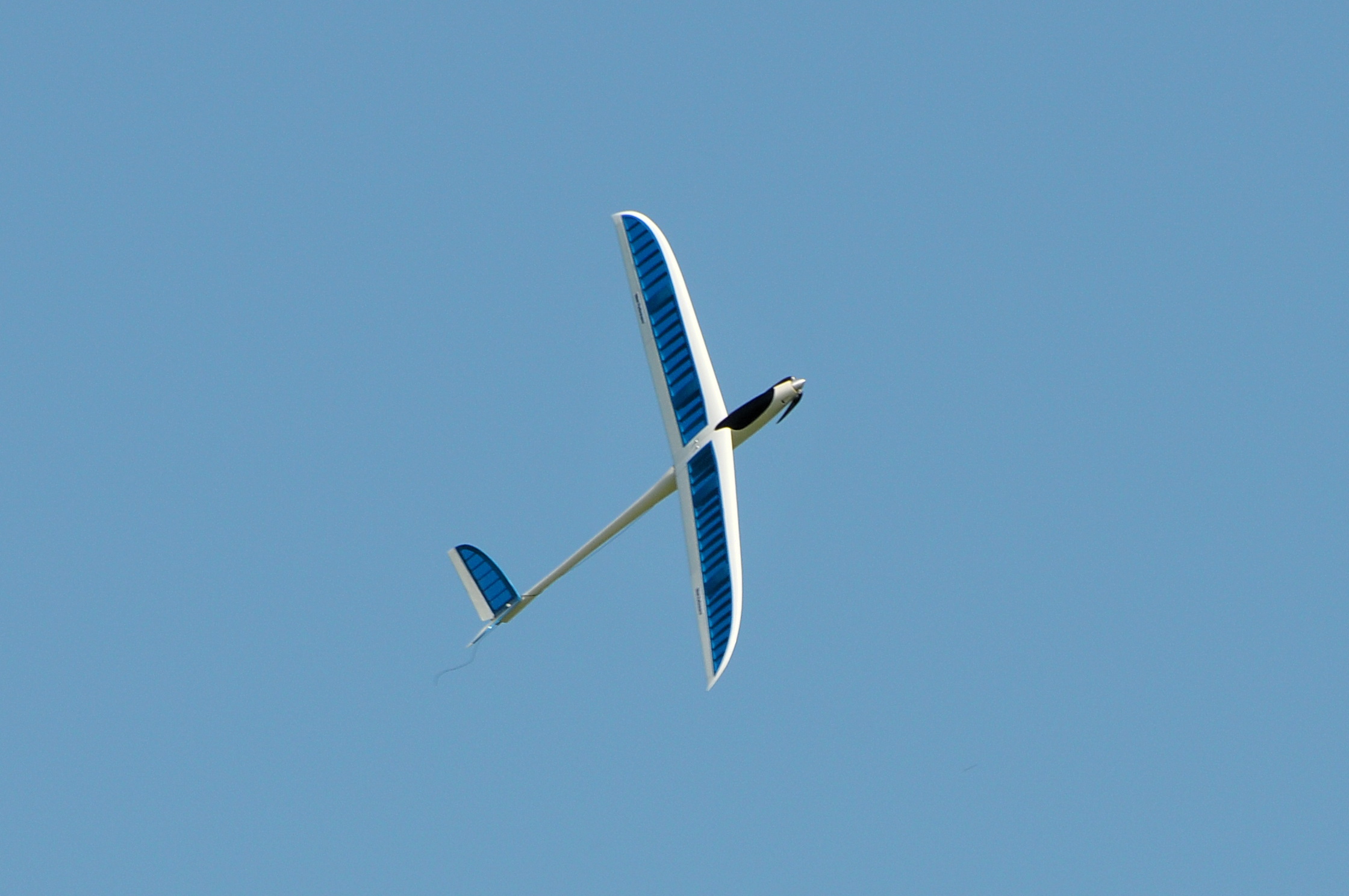 2008/2008-08/2008-08-30_Albatros_082.JPG