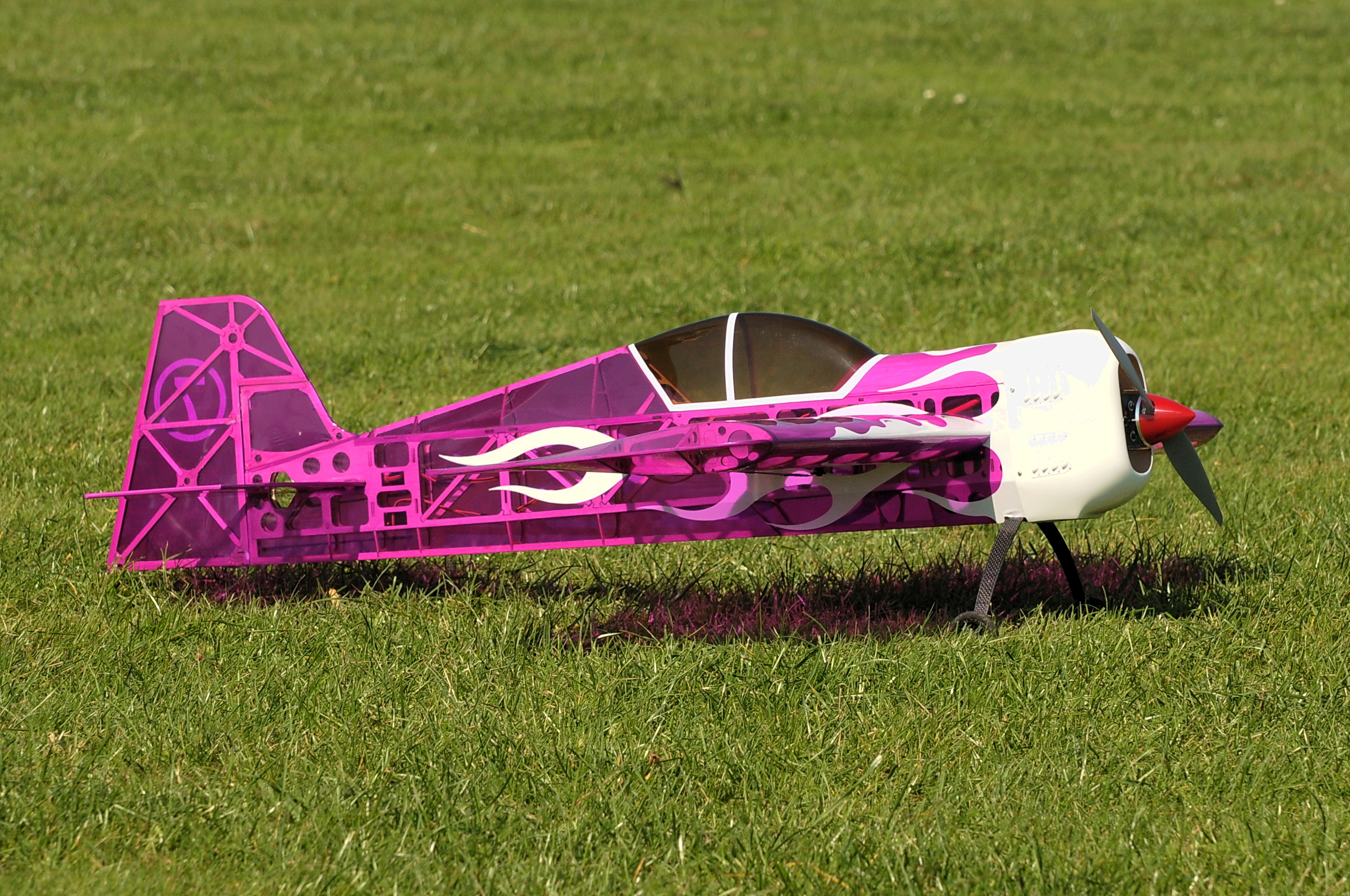 2008/2008-08/2008-08-30_Albatros_125.JPG