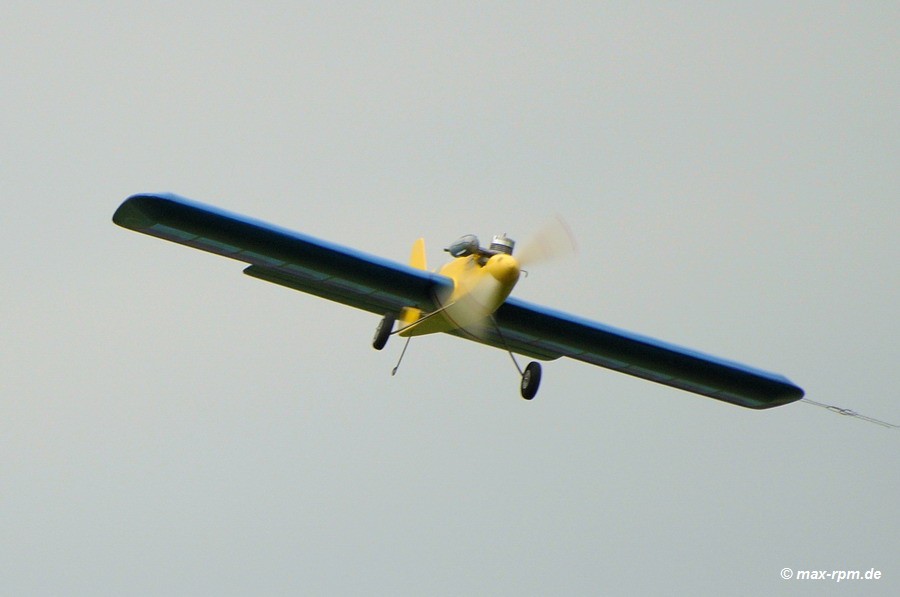 2008/2008-09/FF-Albatros_08-09-13_06.jpg