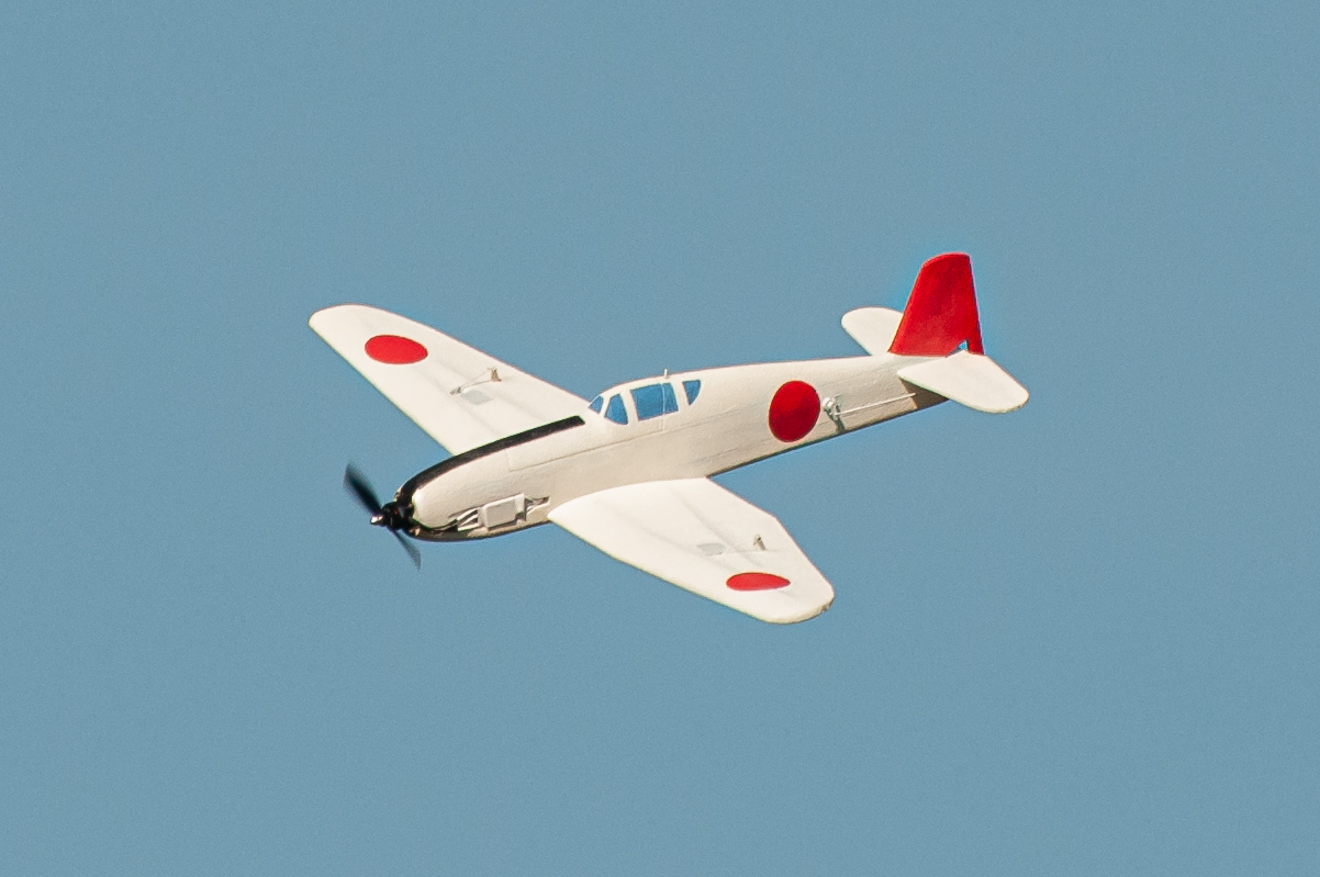 2025/2025-03/2025-03-05_LSV-Flieger-2863.jpg