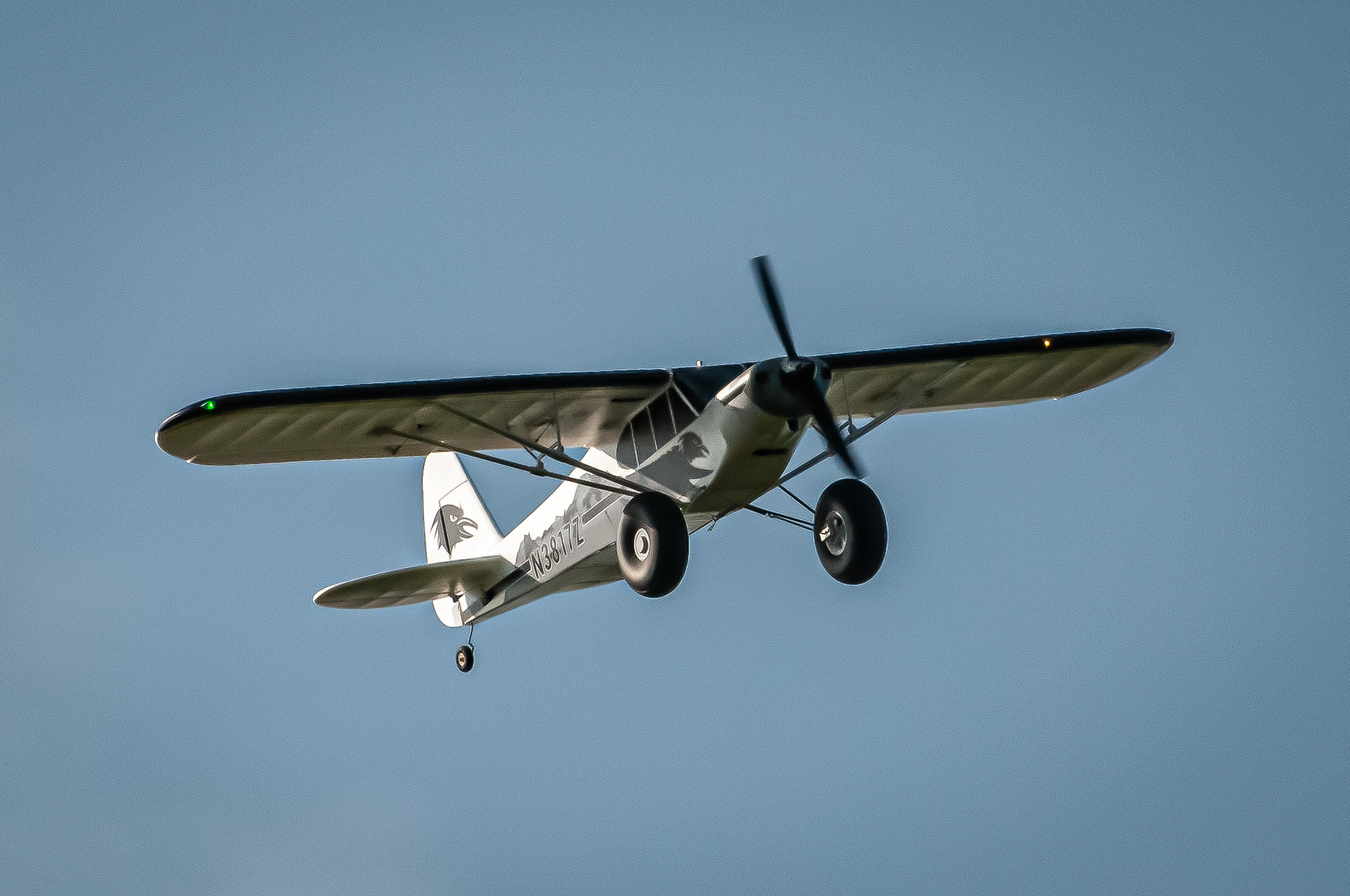 2025/2025-03/2025-03-09_LSV-Flieger-3550.jpg