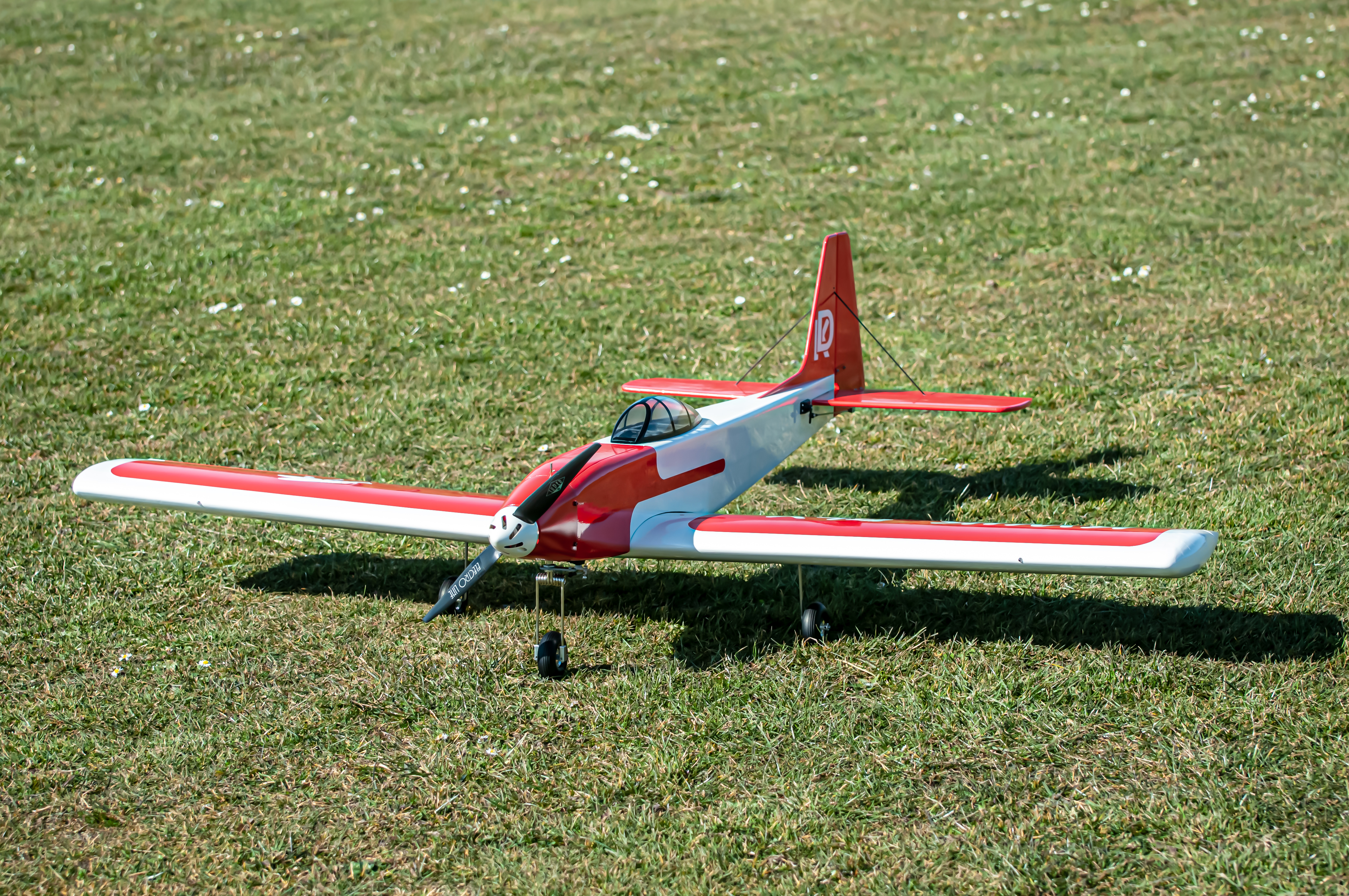 2025/2025-03/2025-03-20_LSV-Flieger-3726.jpg