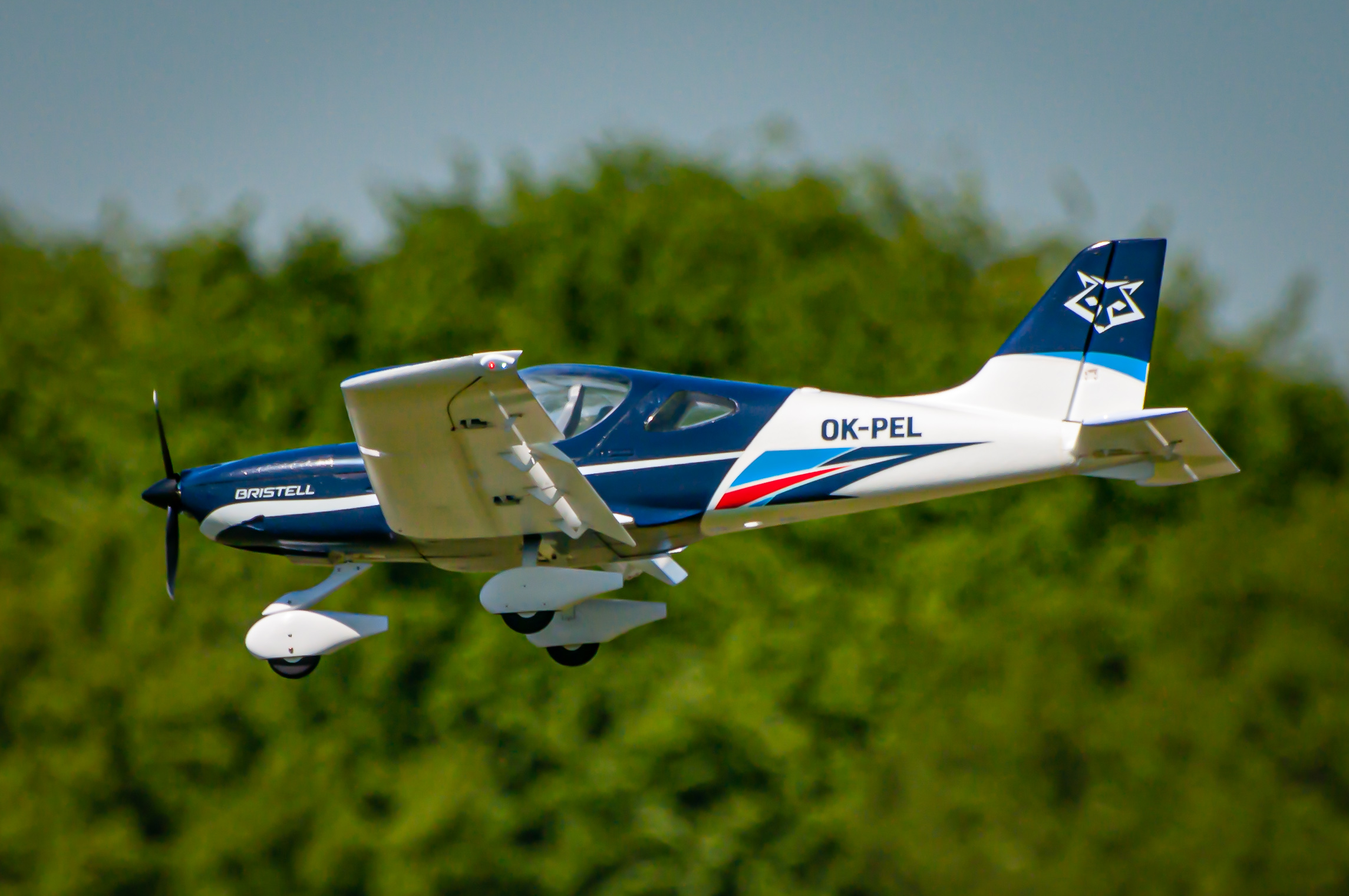 2025/2025-05/2025-05-01_LSV-Flieger-5488.jpg