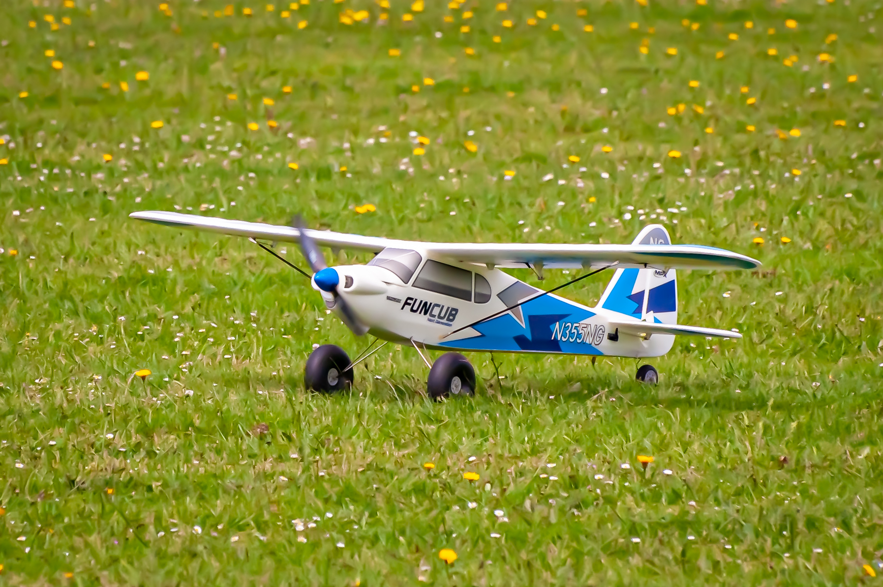 2025/2025-05/2025-05-31_LSV-Flieger-6207.jpg