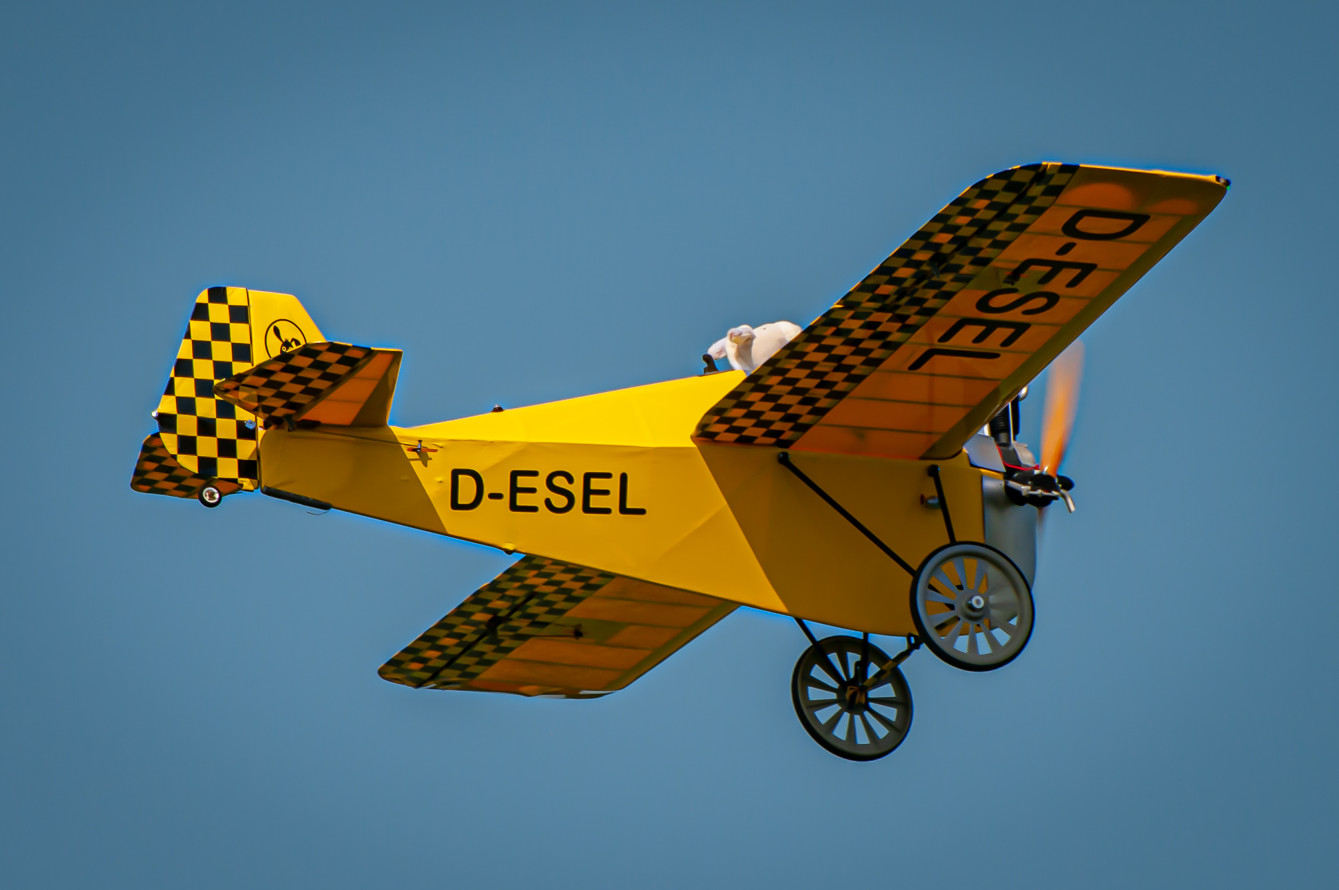 2025/2025-06/2025-06-13_LSV-Flieger-6477.jpg