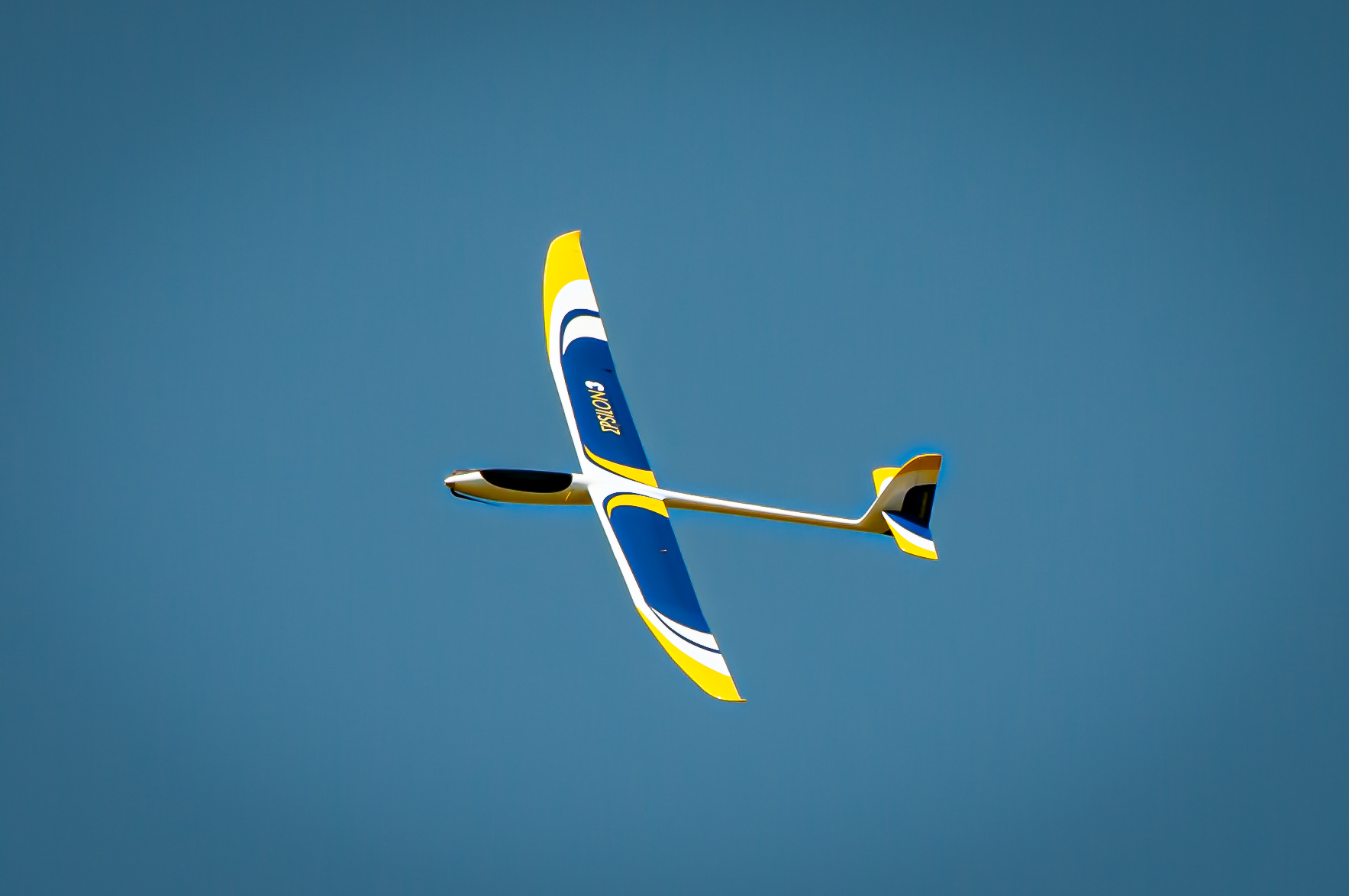 2025/2025-06/2025-06-19_LSV-Flieger-6791.jpg