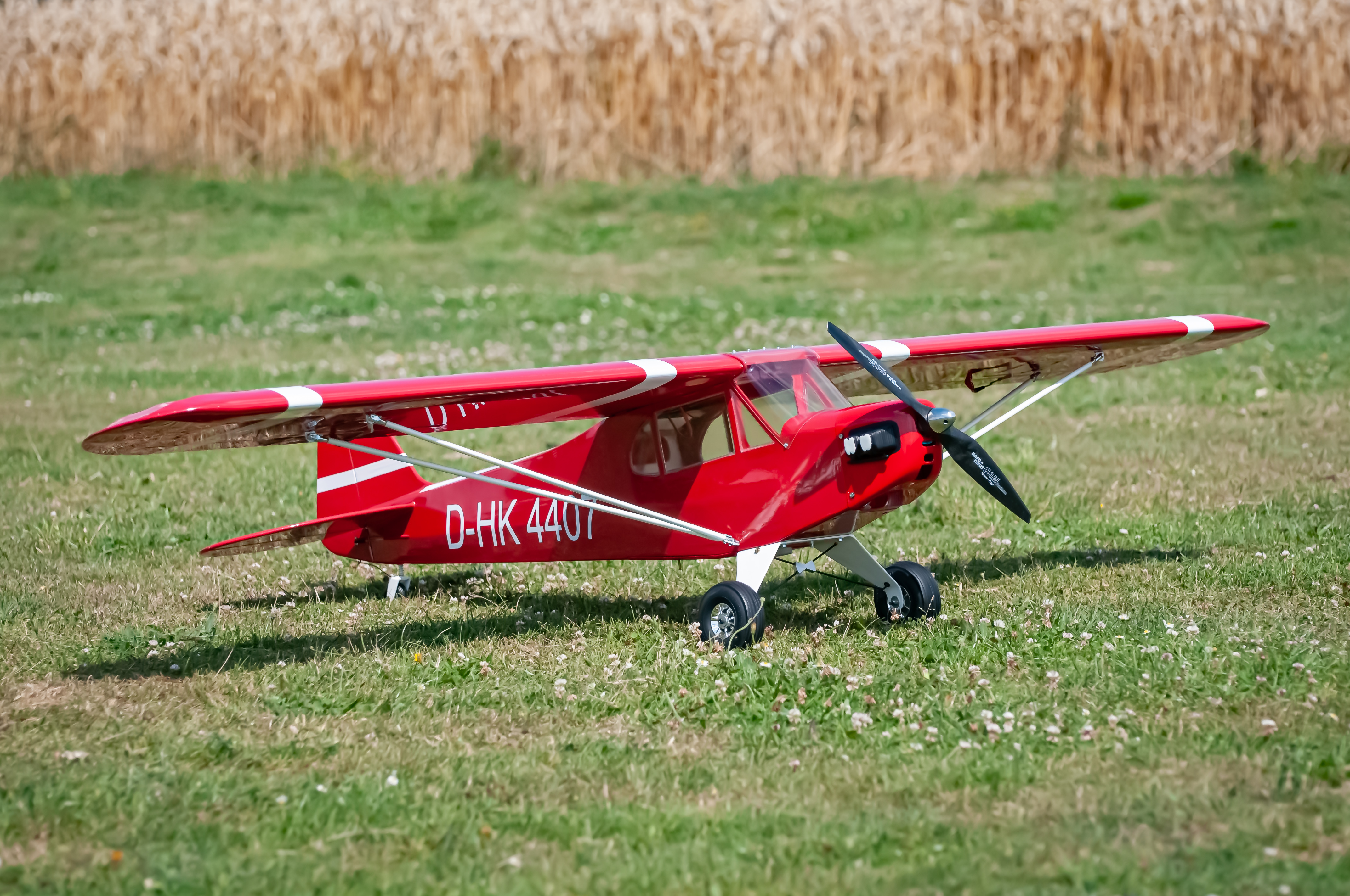 2025/2025-08/2025-08-10_LSV-Flieger-7601.jpg