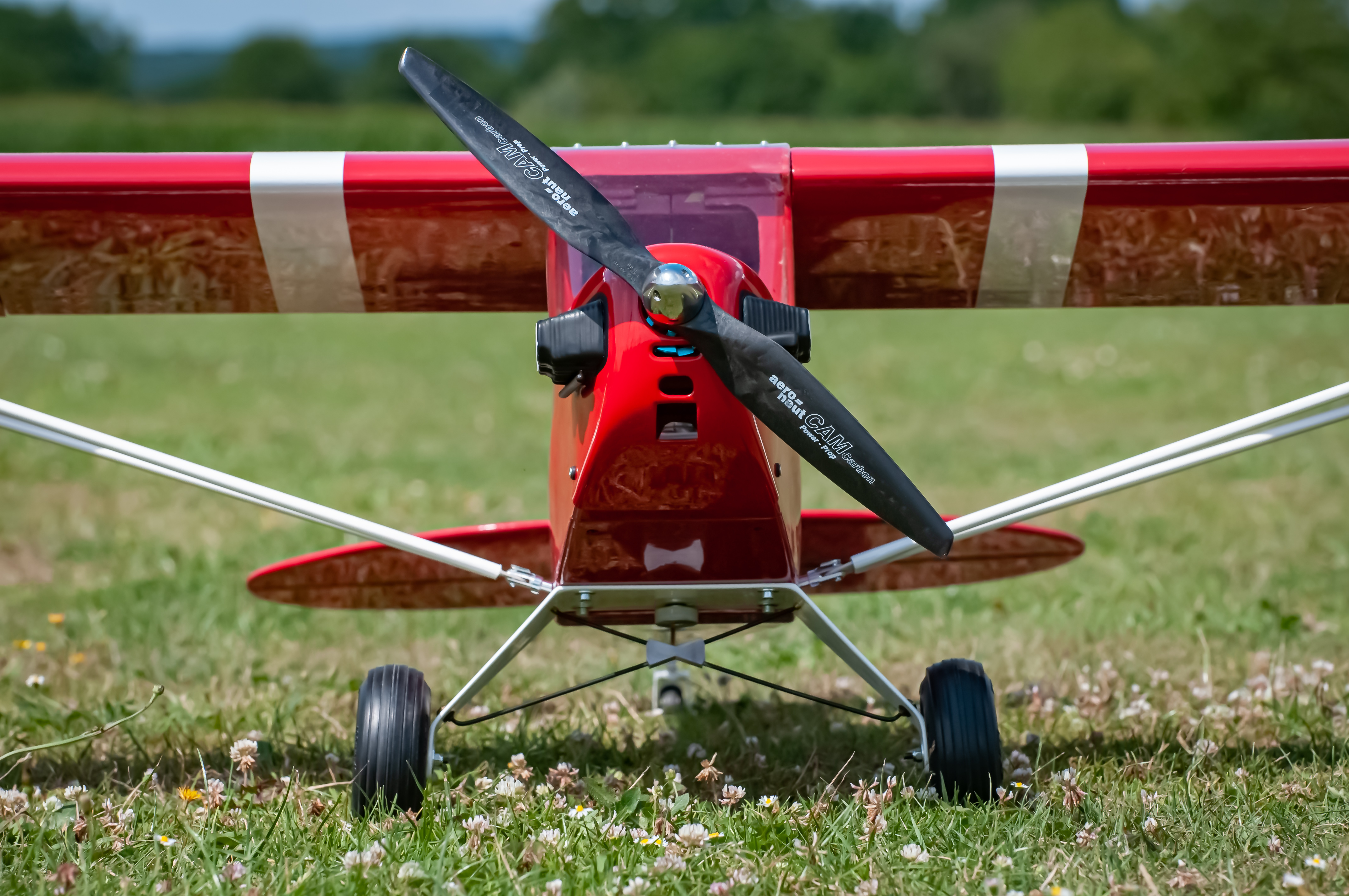 2025/2025-08/2025-08-10_LSV-Flieger-7604.jpg