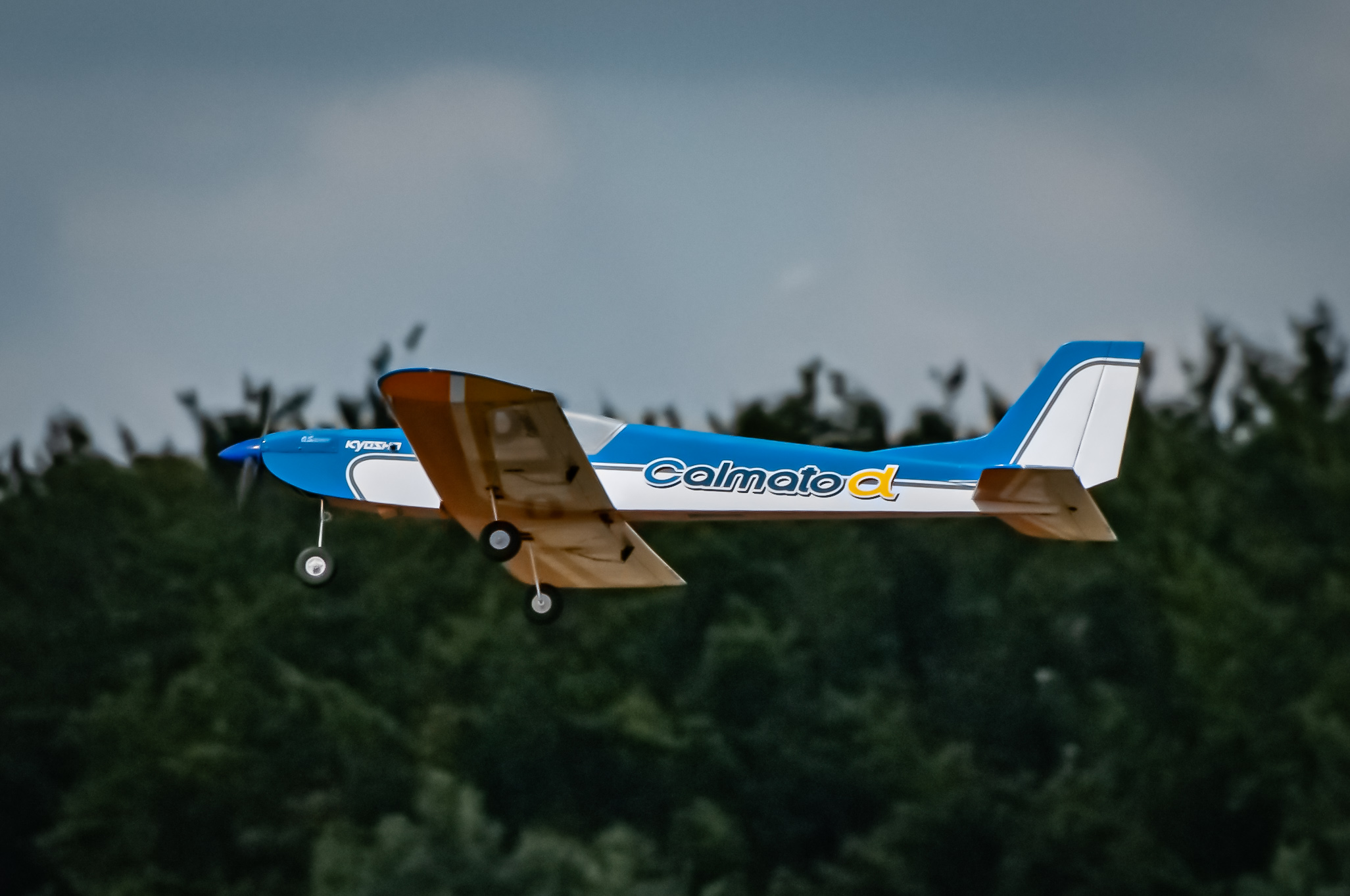 2025/2025-08/2025-08-10_LSV-Flieger-7660.jpg