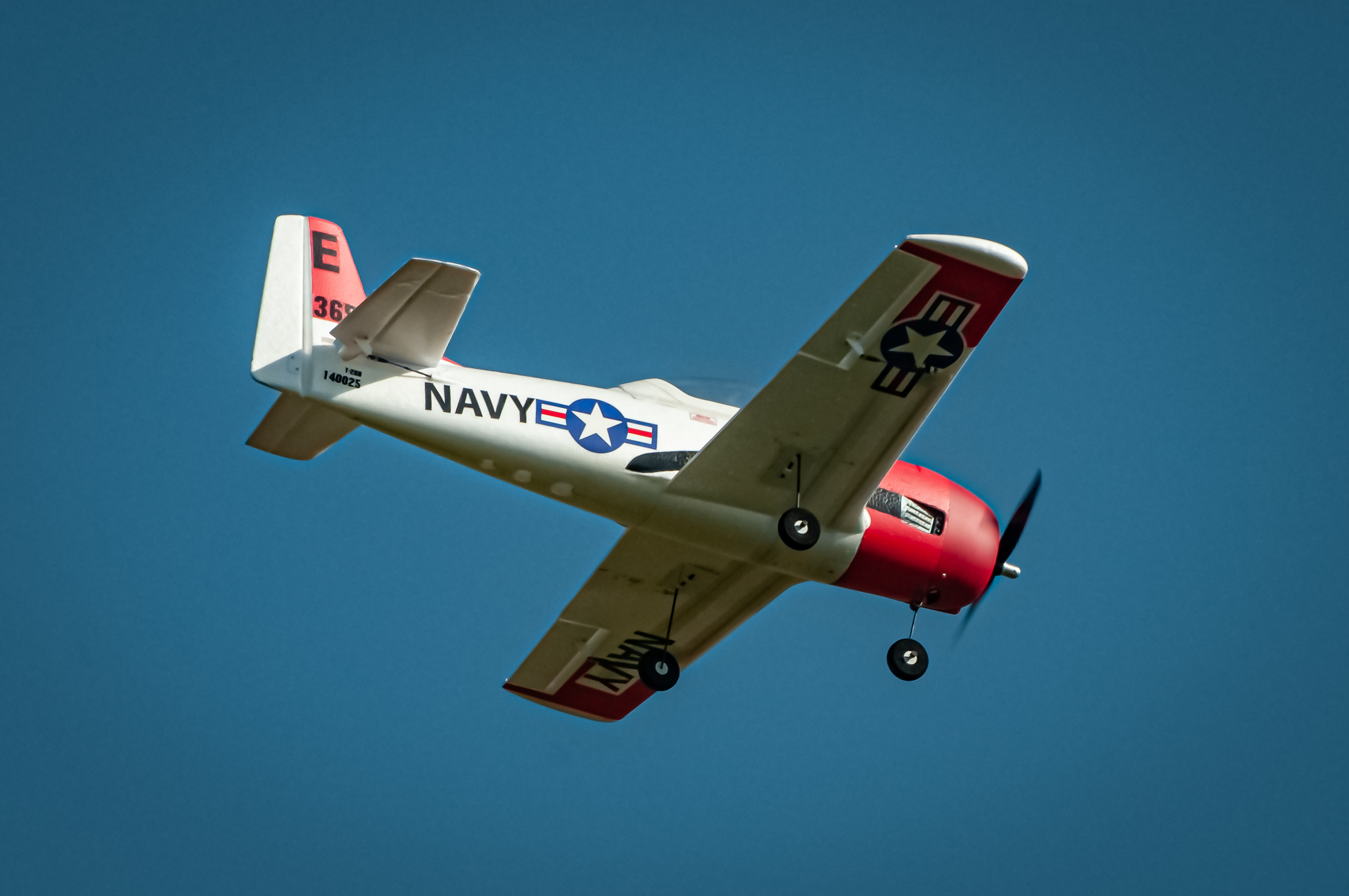 2025/2025-09/2025-09-06_LSV-Flieger-8247.jpg