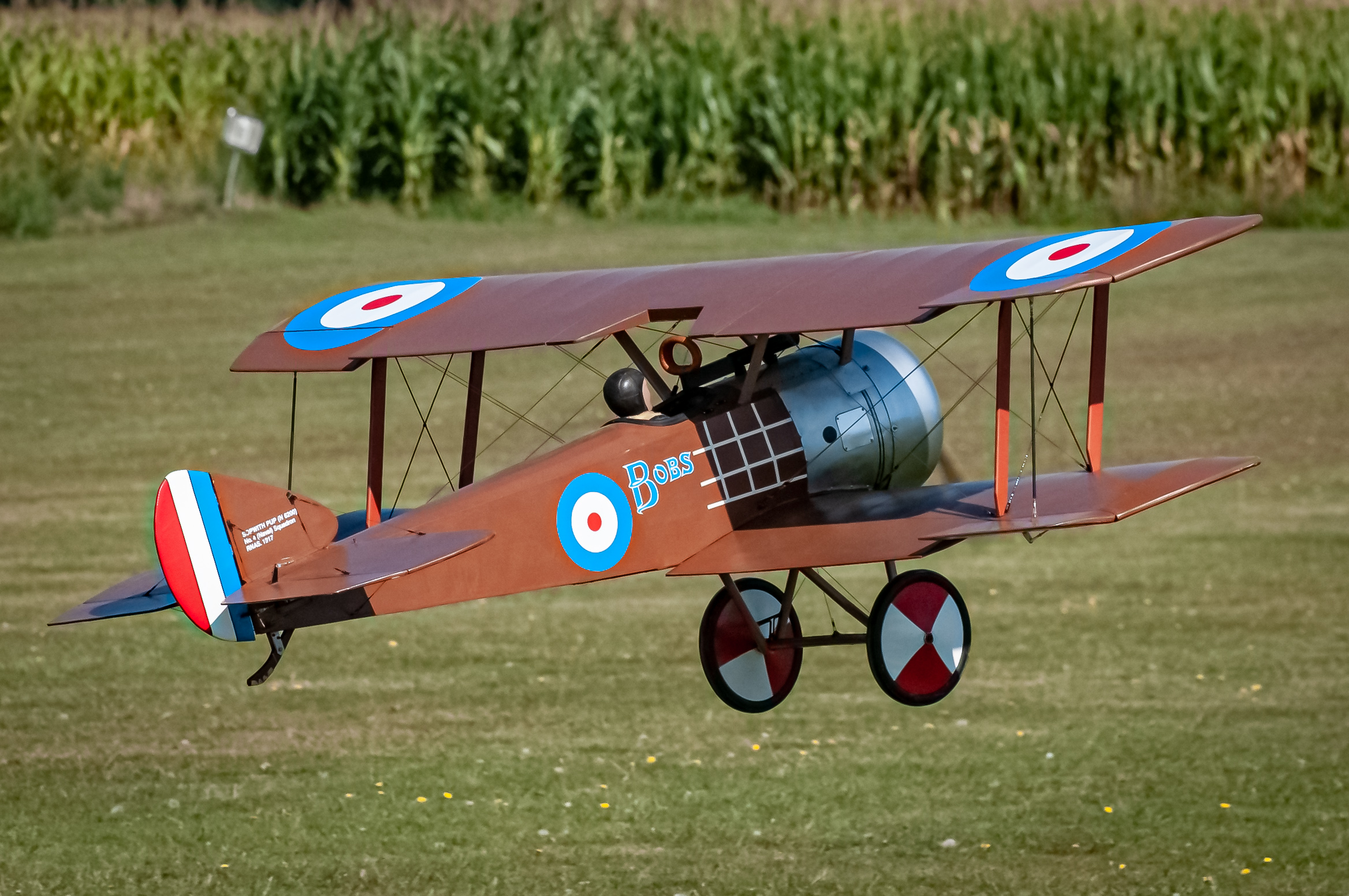 2025/2025-09/2025-09-06_LSV-Flieger-8263.jpg