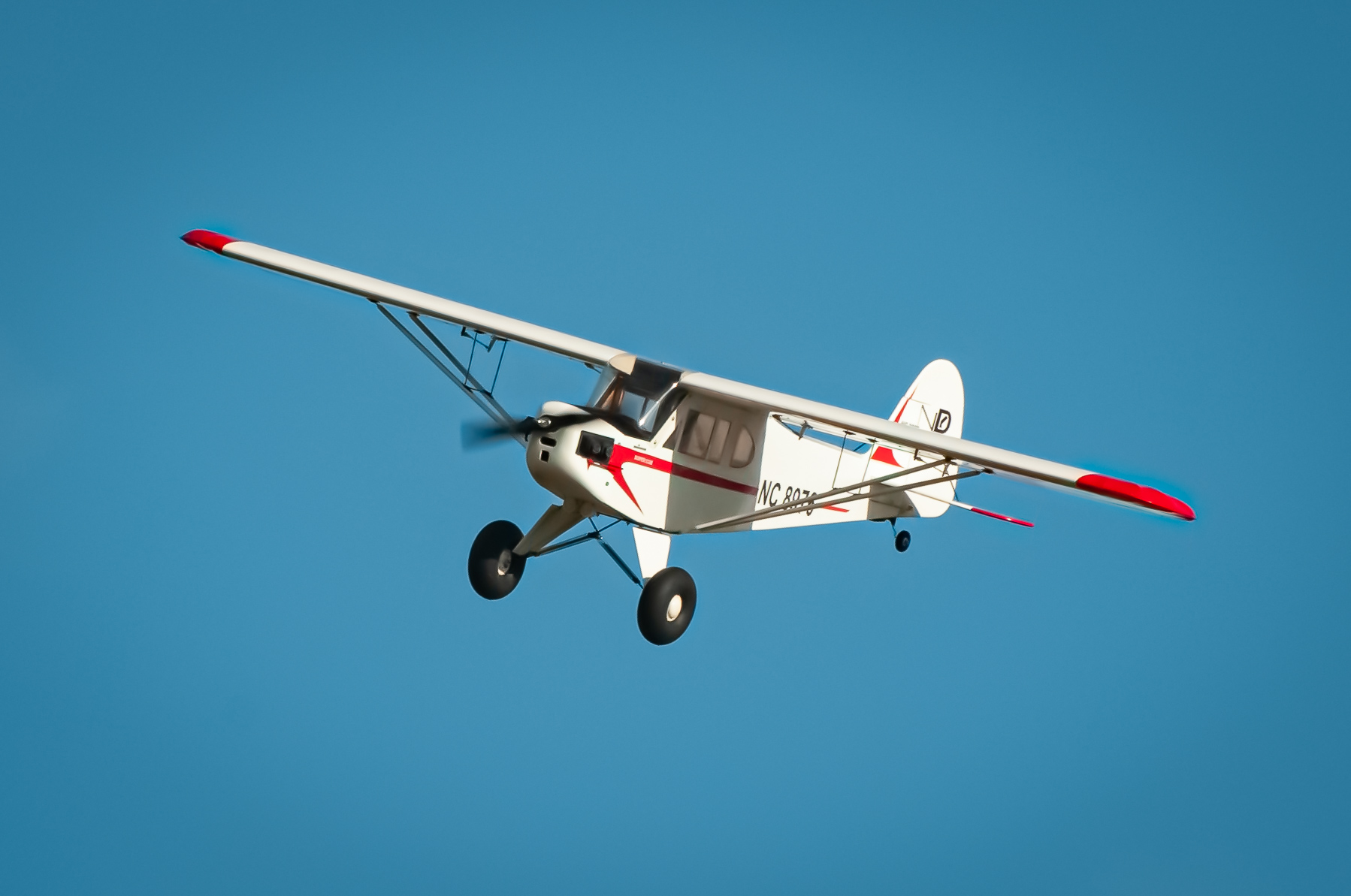 2025/2025-11/2025-11-02_LSV-Flieger-8571.jpg