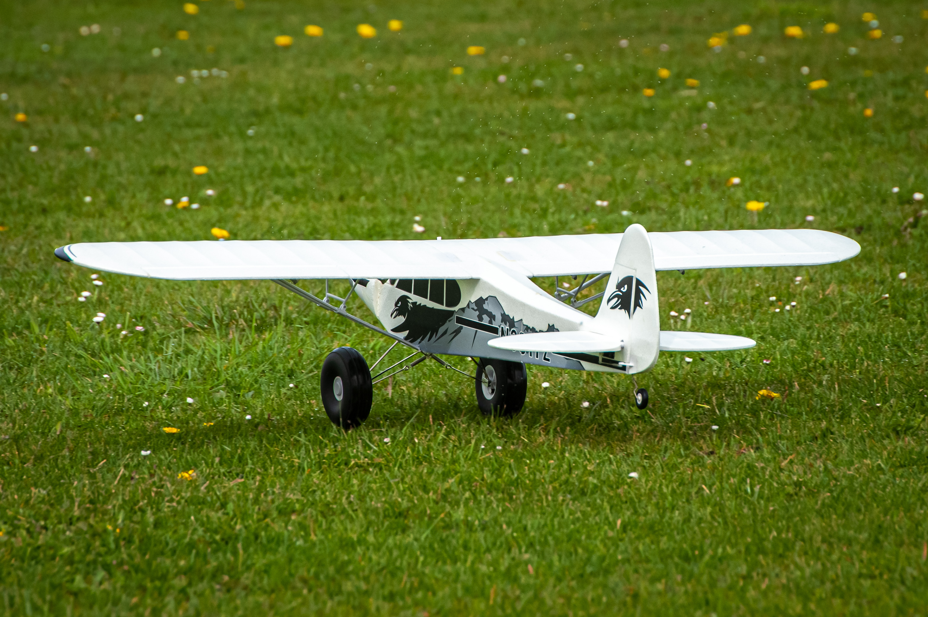 2026/2026-04/2026-04-12_LSV-Flieger-9224.jpg